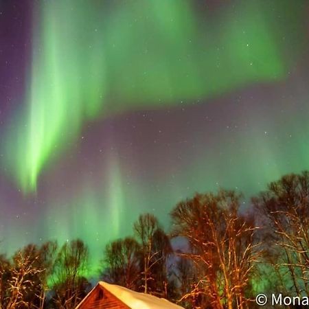 Susitna River Lodging, Suites タルキートナ エクステリア 写真