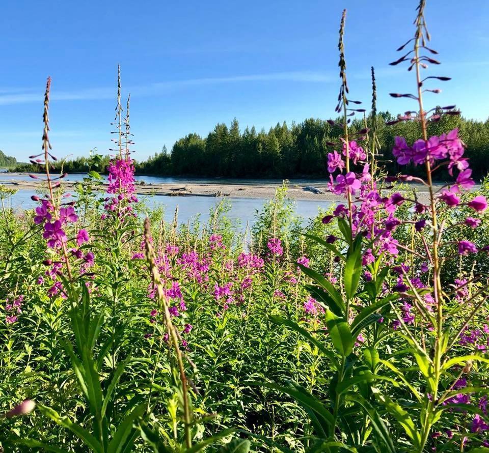 Susitna River Lodging, Suites タルキートナ エクステリア 写真